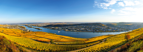 Die Welt der Rhein-Weine