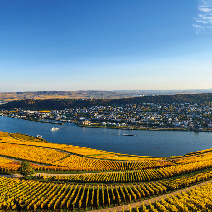 Die Welt der Rhein-Weine