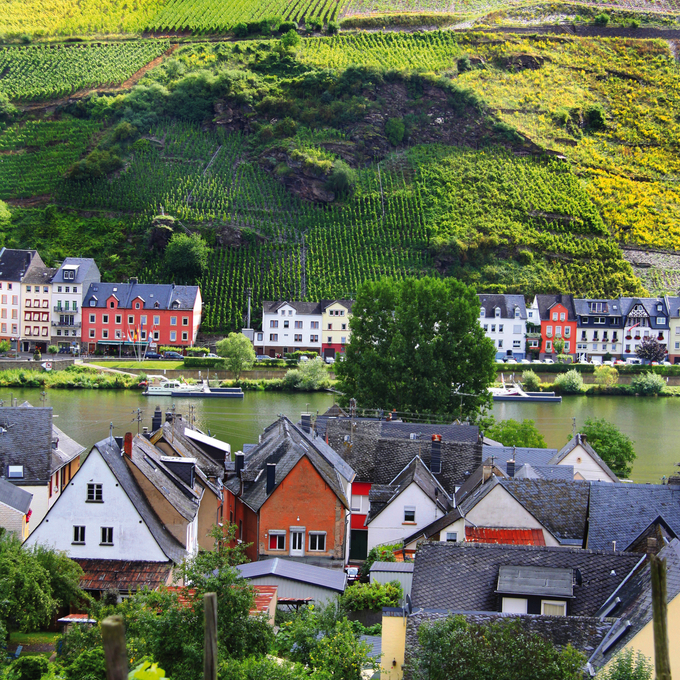 Die Welt der Mosel-Weine