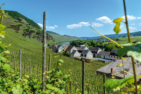 Weinzauber an Main, Rhein und Mosel