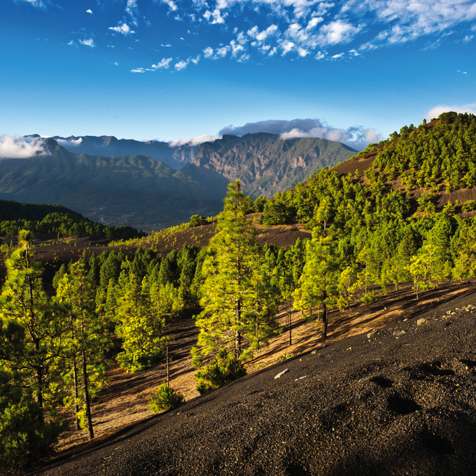 Cuba - Caribbean - Canary Islands - Cape Verde