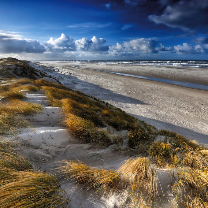 Durch Hollands Grachten und Kanäle