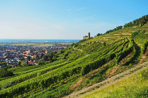 Herbstliche Rhein-Tour