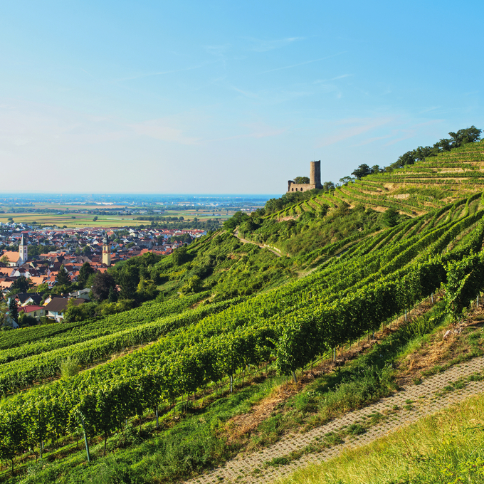 Herbstliche Rhein-Tour