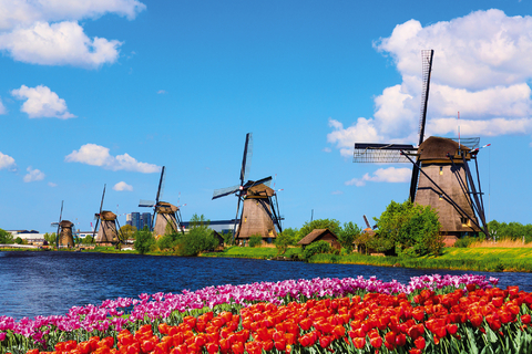 Starting signal for the Tulip Festival in Holland