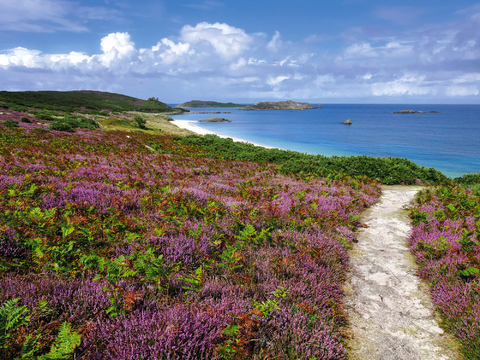 Best of Schottland und Kanalinseln