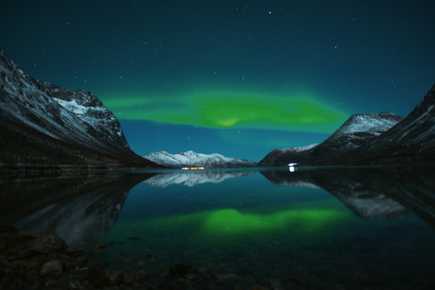 Longing for the Northern Lights