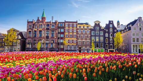 Amsterdam & das IJsselmeer zur Tulpenzeit