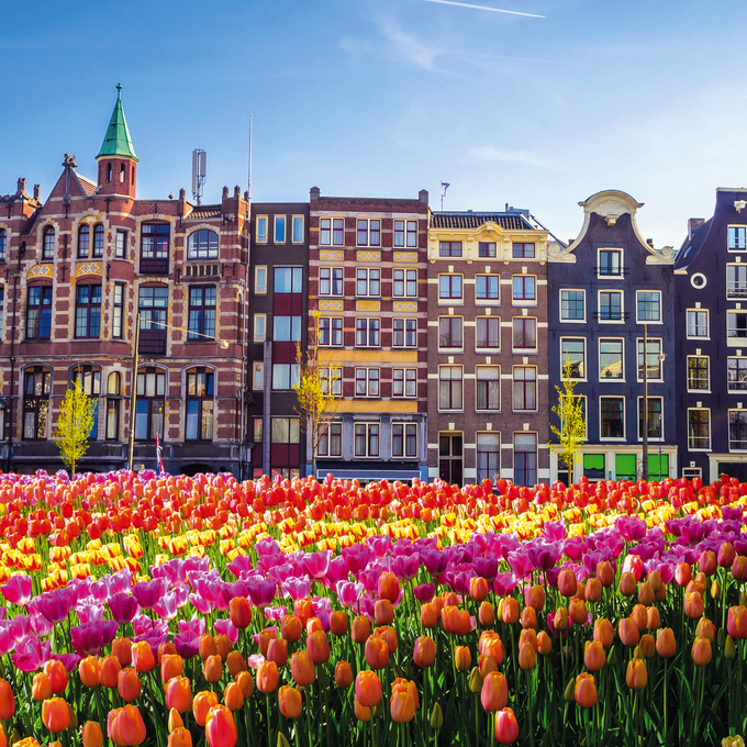 Amsterdam & das IJsselmeer zur Tulpenzeit