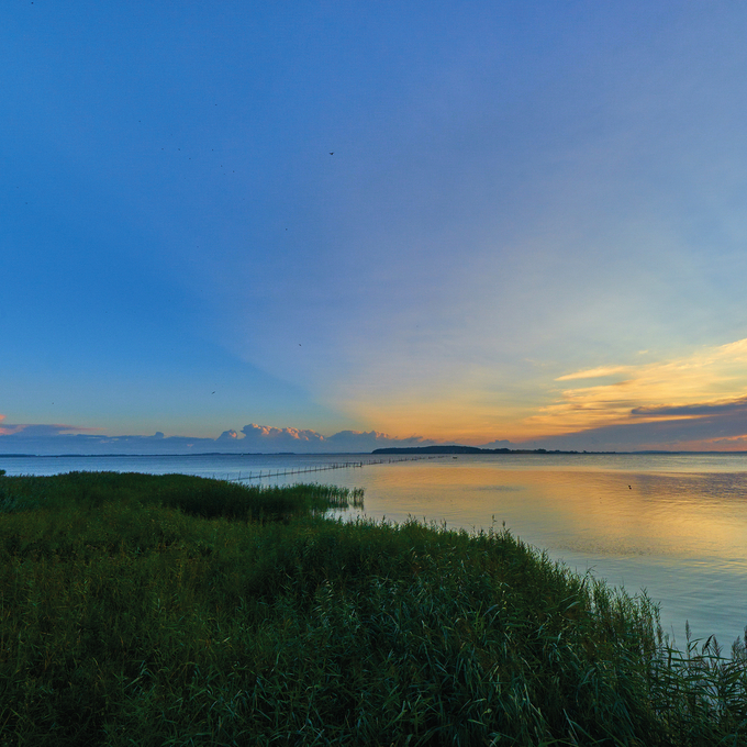 Ostsee & Peene – Naturparadies am Amazonas des Nordens