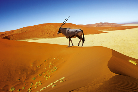 Traumreise durch Afrika: Von den Seychellen bis nach Dakar