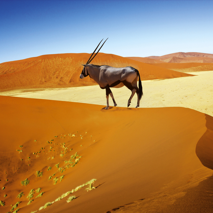 Traumreise durch Afrika: Von den Seychellen bis nach Dakar