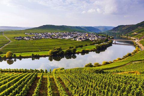 From canals to vineyards: Holland, Belgium & the Moselle