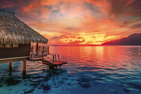 The cruise of a lifetime! Discover the world. 