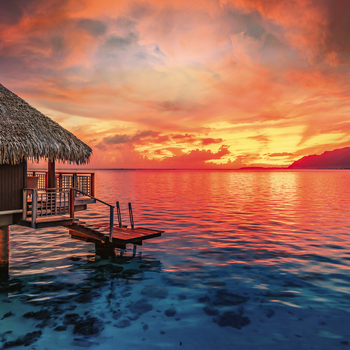 The cruise of a lifetime! Discover the world. 