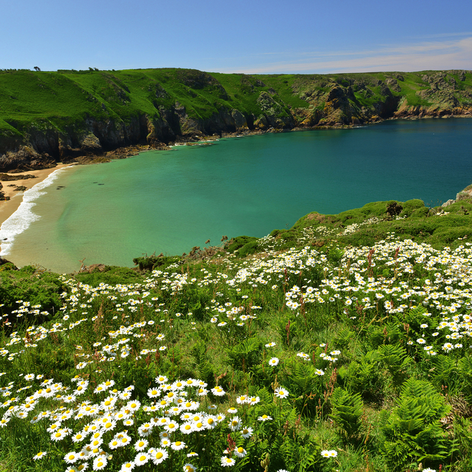 Kanalinseln im Sommerlicht