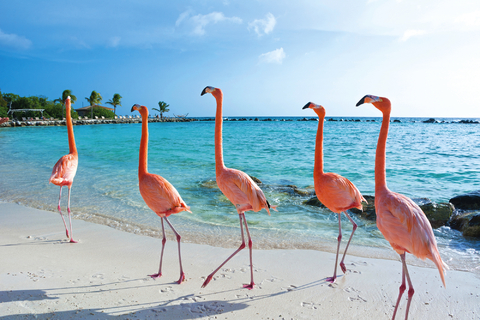 Costa Rica, Panamakanal und die ABC-Inseln