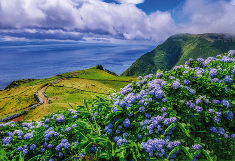 Auf nach Hamburg: Karibik, Bermudas, Azoren