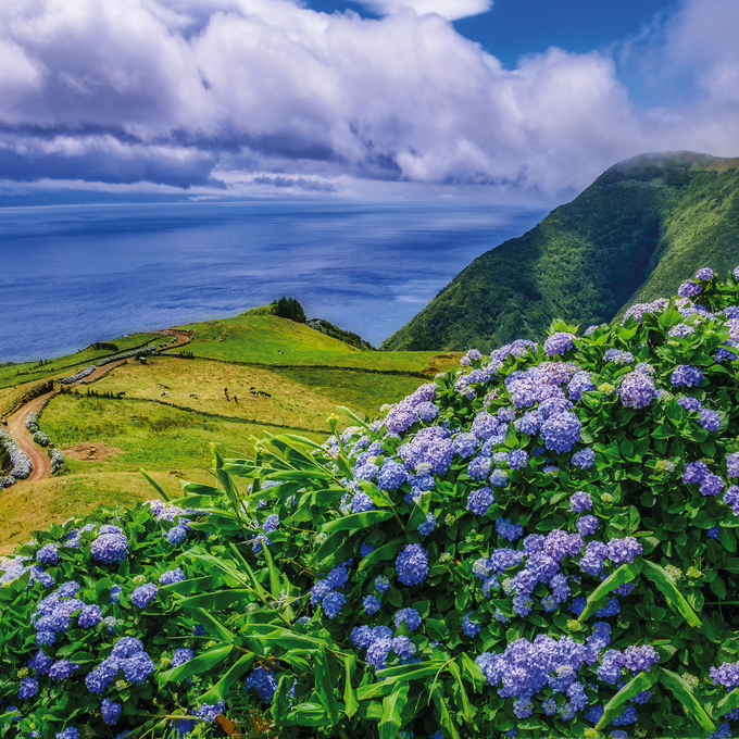 Auf nach Hamburg: Karibik, Bermudas, Azoren