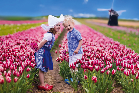 Spring awakening in the Netherlands – the land of tulips